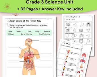 Werkbladen menselijk lichaam graad 3 afdrukbaar | pdf-activiteiten carrosseriesystemen