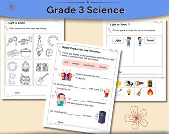 Werkbladen licht en geluid | Wetenschap van graad 3 | Vibratie-, reflectie- en hooractiviteiten