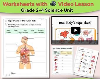 Werkbladen menselijk lichaam met videolessen | Wetenschapsactiviteit voor kinderen | Organen en systemen pdf | Graad 2-4