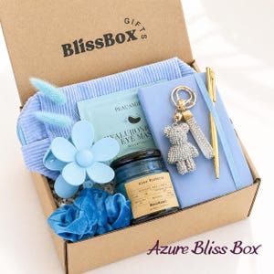 May include: A cardboard gift box labeled BlissBox containing a light blue corduroy pouch, a flower-shaped hair clip, a blue velvet scrunchie, a hyaluronic eye mask, a blue candle, a light blue notebook, a gold pen, and a rhinestone bear keychain.