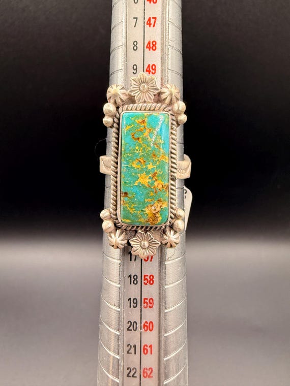Sonoran Mountain Turquoise Statement Ring, Sterli… - image 5