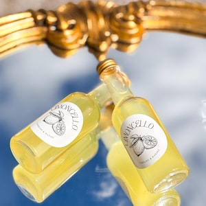 Flacon vide 100ml