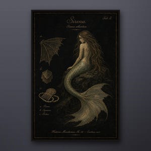 Mermaid Print, Gothic Siren Specimen Poster, Vintage Natural History Art (Digital Download)