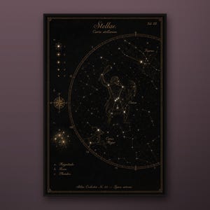 May include: A black celestial star chart print titled Stellae Carta stellarum featuring gold constellations including Orion and Canis Major, a compass rose, a magnitude scale, and Latin text, all enclosed within a thin black frame.