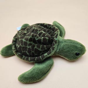 May include: A plush green sea turtle toy with a patterned dark brown shell. The turtle has a soft, fuzzy texture and black eyes. The toy is designed to resemble a sea turtle.