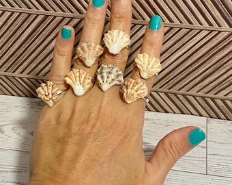 May include: A hand displaying several seashell rings. The rings feature small, natural seashells in shades of tan, brown, and white, mounted on silver-colored bands. The hand has turquoise nail polish, and the background is a brown wooden pattern.