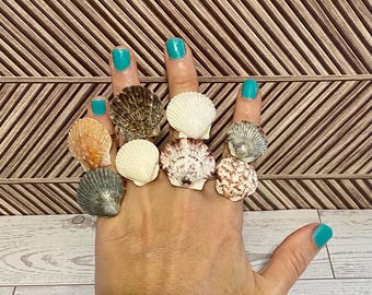 May include: A hand displaying a collection of seashell rings. The rings feature various shell types in shades of white, tan, and brown. The background is a brown wooden pattern.