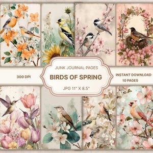 Può includere: Una collezione di otto pagine di diario digitale con illustrazioni ad acquerello di uccelli, fiori e fogliame. Le pagine includono il testo "Birds of Spring" e misurano 27,9 cm x 21,6 cm. L'immagine include anche il testo "Instant Download 10 Pages".