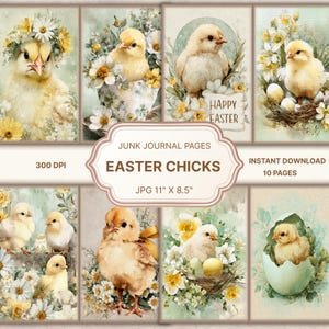 Könnte beinhalten: Eine digitale Collage mit Aquarellillustrationen von Osterküken und floralen Arrangements. Die Bilder enthalten den Text "Happy Easter". Die Seiten sind 28 x 22 cm groß und stehen zum sofortigen Download bereit.