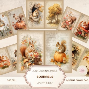 May include: A collection of vintage-style junk journal pages featuring watercolor illustrations of squirrels, pumpkins, and autumn foliage. The pages have a distressed, aged appearance with the text "SQUIRRELS" and "JPG 11" X 8.5" on the bottom.