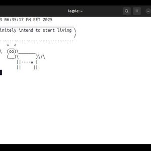 Può includere: Schermata di una finestra del terminale che mostra testo e arte ASCII. Il testo recita "Hai sicuramente intenzione di iniziare a vivere presto." e include un gatto di arte ASCII stilizzato. Il prompt del terminale è "le@le:~".
