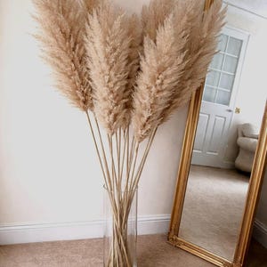 Dried Pampas Grass Tall Fluffy Stems | Neutral Boho Home Decor | Vase Arrangement | Wedding Decor UK
