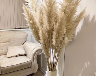 Dried Pampas Grass Tall Fluffy Natural Pampas – Boho Home Decor – Vase Filler – Wedding Decor – Neutral Pampas Grass UK | Boho Room Decor