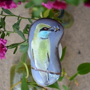Bird Painted Rock, Hand Painted Stone, Bird Watching, Bird Art, Green Bee Eater, Bird Art