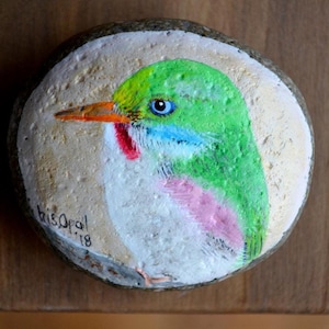 May include: Hand-painted rock art depicting a bird with green, white, pink, and blue feathers. The bird has a long, orange beak and a black eye. The rock is signed "Chris Opal 18".