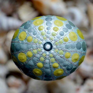 May include: A hand-painted rock with a mandala design. The rock is painted in shades of blue, grey, and yellow.
