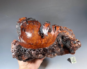 Manzanita Burl G+ Bowl #15481 made by Smithsonian Artist, David Walsh