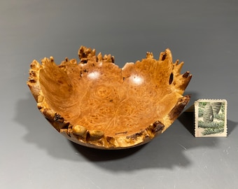 Bigleaf Maple Burl G+ Bowl #15436, hergestellt vom Smithsonian-Künstler David Walsh***