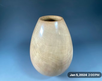 American Holly G+ Hollow vase #15546 made by Smithsonian Artist, David Walsh (cmts)