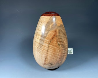 Norway Maple Hollow Vase #15548 made by Smithsonian Artist, David Walsh.