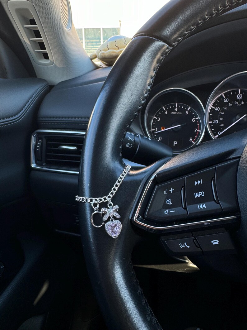 Custom charm for steering wheel, shifter image 9