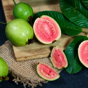 Pink Guava Fruit Tree — 9–12&quot; (Exotic • Delicious • Healthy)