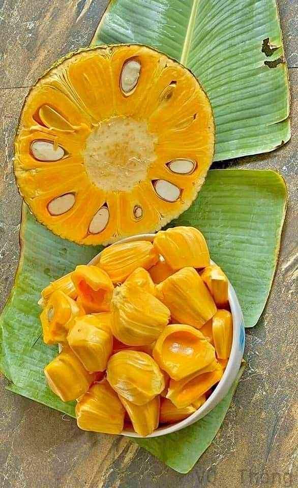 Jackfruit seeds - Etsy 日本