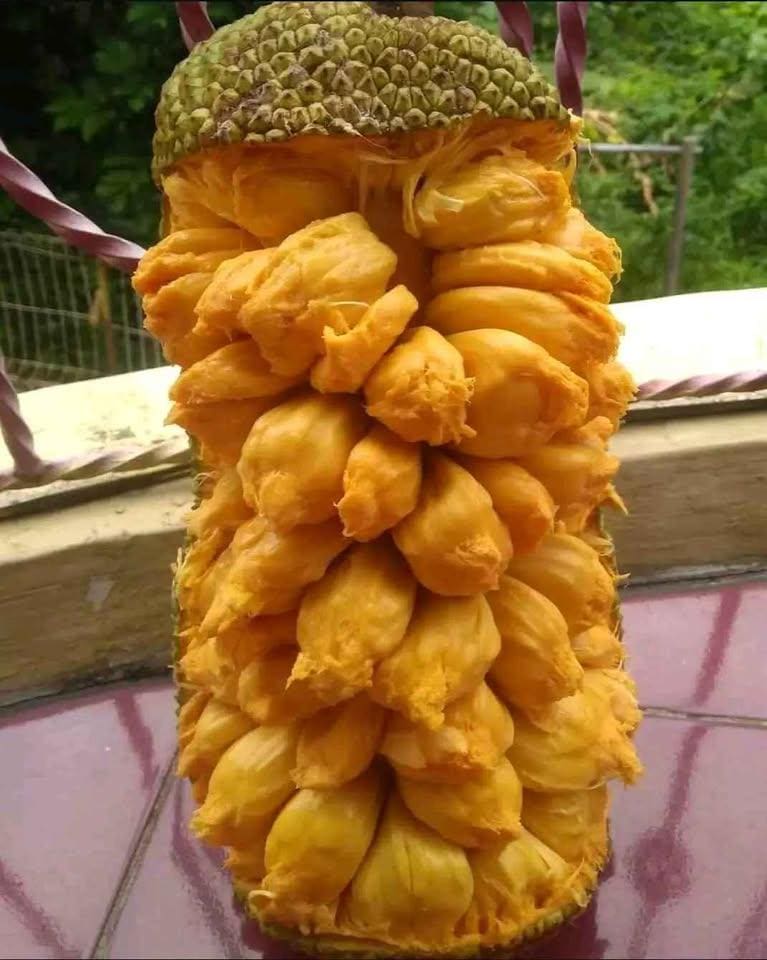 沖縄産Cempedak il_fullxfull.7551292255_a88m.jpg