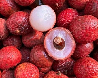 Dwarf Grafted Red Lychee Kom Tree – Early & Fast Fruit Bearing