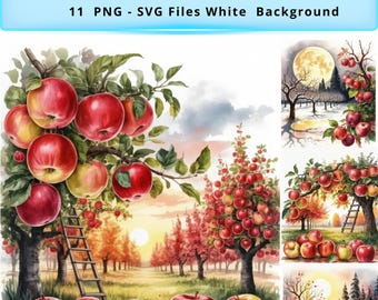 May include: Watercolor clipart featuring an autumn apple orchard scene. The image includes illustrations of apple trees laden with red and yellow apples, a wooden ladder, and a sunset. Text at the top reads "Autumn Apple Orchard Watercolor Clipart".