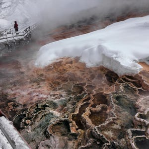 Yellowstone Mammoth Hot Springs Winter Photo Print, Snowy Geothermal Landscape, Wall Art