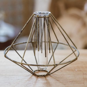 Round Geometric Test Tube Bud Vase - Propagation Station