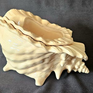 May include: A cream-colored ceramic bowl shaped like a large conch shell. The vessel features a glossy finish, a wide opening with a ruffled edge, and a textured exterior with protruding spikes and ridges that mimic the natural form of a seashell.
