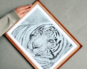 ホワイトタイガーの鉛筆画プリント｜サイン入り野生動物アート - Etsy 日本