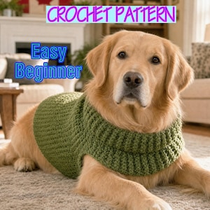 Modèle de pull pour chien au crochet PDF | Modèle au crochet facile pour animal de compagnie pour débutant | Manteau douillet pour chien | Tutoriel DIY pour vêtements pour chiots