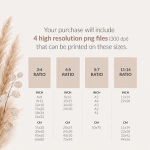 May include: A digital information chart displaying four high resolution png files with 300 dpi. The text lists aspect ratios 3:4, 4:5, 5:7, and 11:14 with corresponding dimensions in inches and centimeters for various print sizes, decorated with pampas grass.