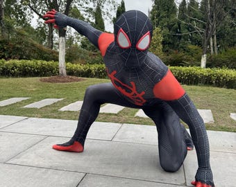 May include: A black and red Spider-Man costume with a web pattern. The costume features a mask with white eye lenses and red accents on the arms, hands, and feet. The character is kneeling on a stone surface.
