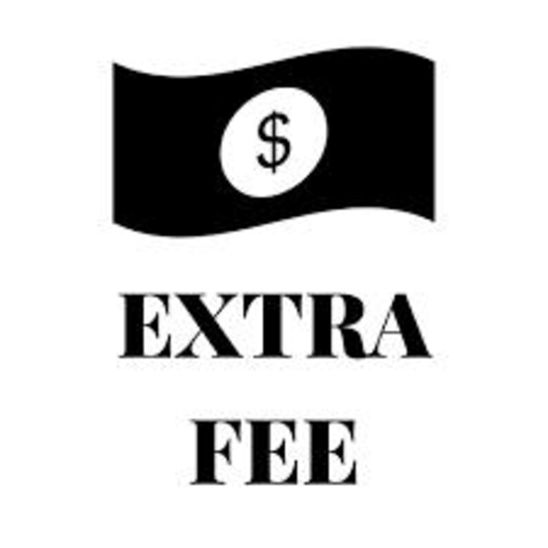 K&ouml;nnte beinhalten: Schwarz-wei&szlig;e Grafik einer wehenden Flagge mit einem wei&szlig;en Oval und einem Dollarzeichen. Unter der Flagge stehen die Worte "EXTRA FEE" in einer fetten Serifen-Schrift.