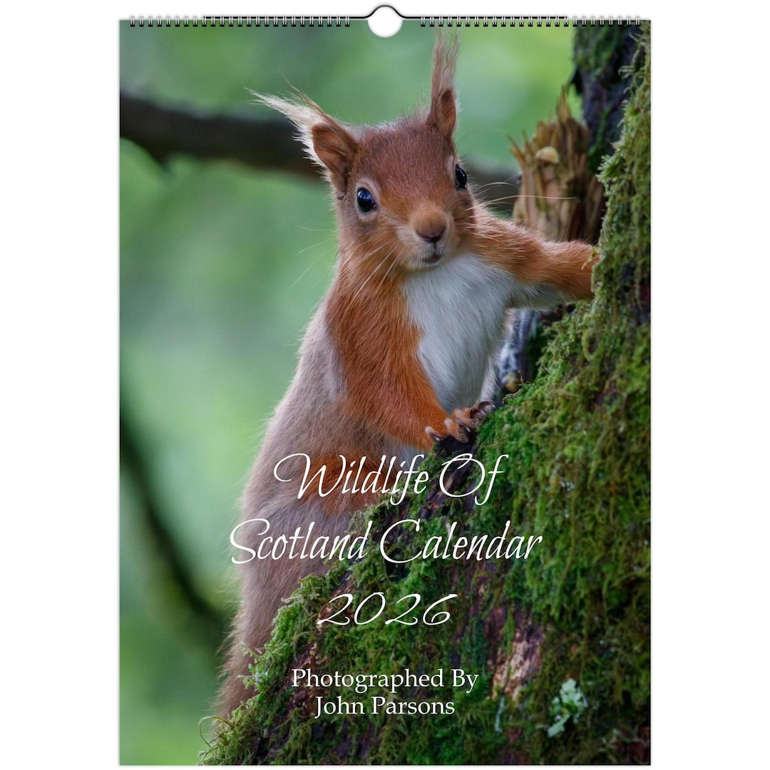 scotland-wildlife-calendar-2026-john-parsons-photography-a3-silk