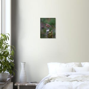 May include: A framed print of a small bird perched on a moss-covered tree stump. The bird has brown and tan feathers. The background is a blurred green and brown, suggesting a forest setting. The print is displayed on a white wall.