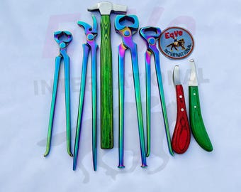 Kit Maréchal Ferrant 25 Pièces Acier - Pince, Râpe, Couteau, Testeur, Set Sabot