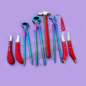 Puede incluir: Un conjunto de herramientas de herrador, que incluye tenazas, un martillo, cuchillos para cascos y un limpiacascos. Las herramientas tienen mangos de metal iridiscente y mangos de madera roja. Sobre un fondo morado.