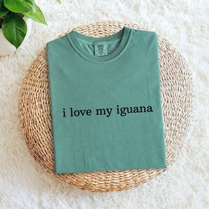 Puede incluir: Una camiseta de color verde azulado con la frase "i love my iguana" impresa en negro. La camiseta se muestra sobre una estera circular tejida, con una planta en una maceta blanca en el fondo.