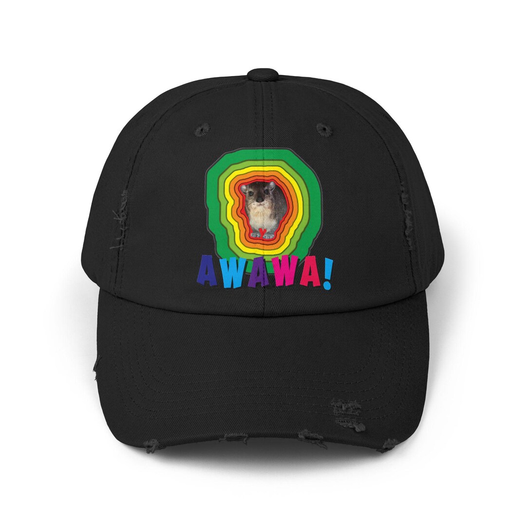 Colorful Hyrax Distressed Cap, Fun Awawa Accessory, Festival Gear, Gift ...
