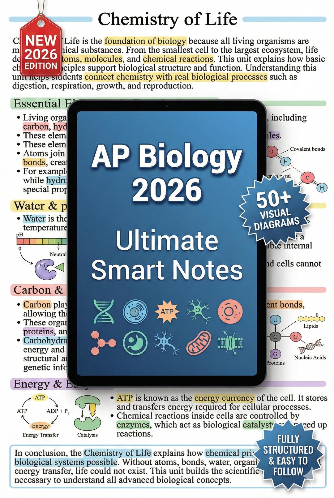 AP Biology 2026 Ultimate Smart Notes – Concept + MCQ + FRQ - Etsy