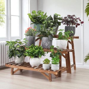 Puede incluir: Un estante de madera de varios niveles que muestra varias plantas en macetas. El estante está hecho de madera marrón oscuro y presenta múltiples niveles para exhibir las plantas. Las macetas son de varios colores y estilos, con follaje verde.