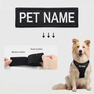 May include: Black rectangular patch with the text "PET NAME" in white. The patch is above a dog harness with a matching patch. The harness is on a light brown and white dog. The image also shows the hook and loop fastener.