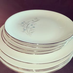May include: A stack of white ceramic plates with a silver rim. One plate features a delicate floral design in blue and gray. The plates are stacked on a dark surface, creating a contrast that highlights the tableware.
