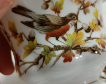 Royal Albert Woodland  Series teacup and saucer set specifically the "Robin"