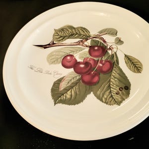 May include: White ceramic plate featuring a botanical illustration of cherries and leaves. The design includes a branch with several ripe, red cherries and green leaves. The text "The Late Duke Cherry" is printed on the plate.